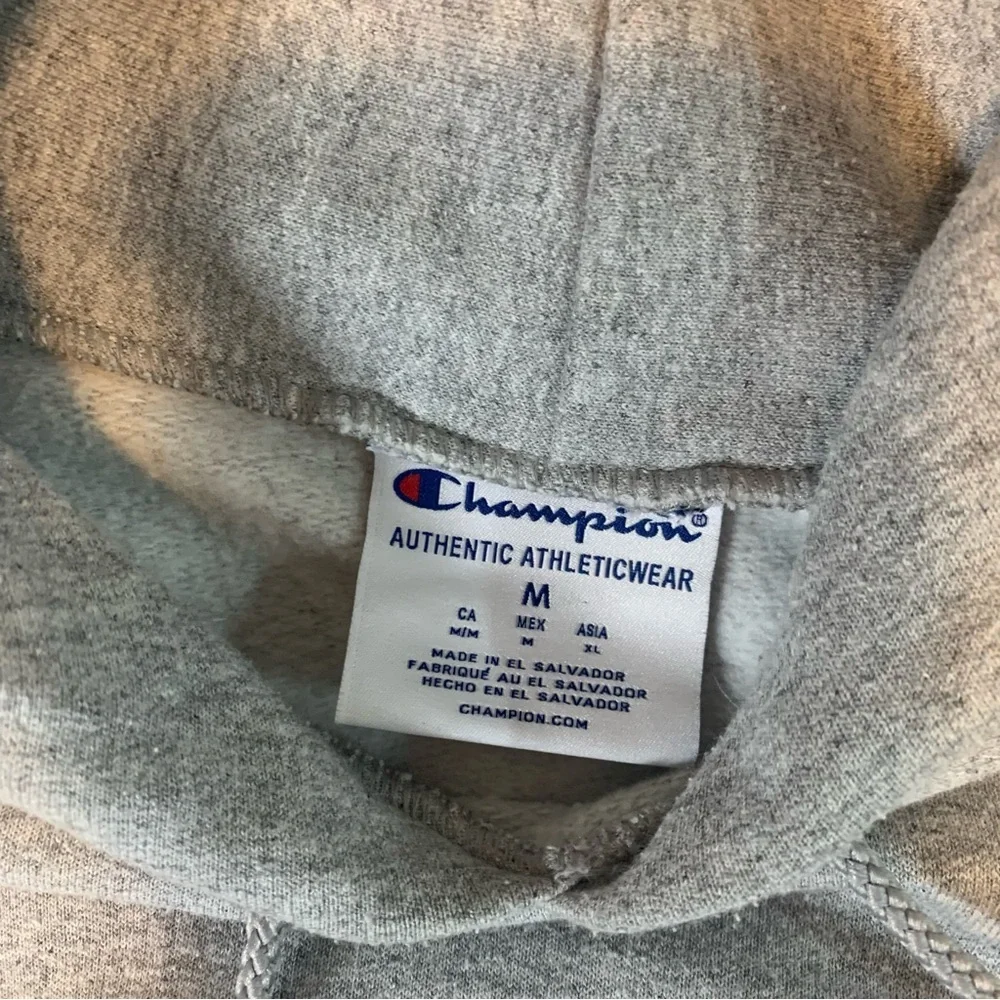 Champion Gray Hoodie with Red South Alabama Print Mens Size Medium
